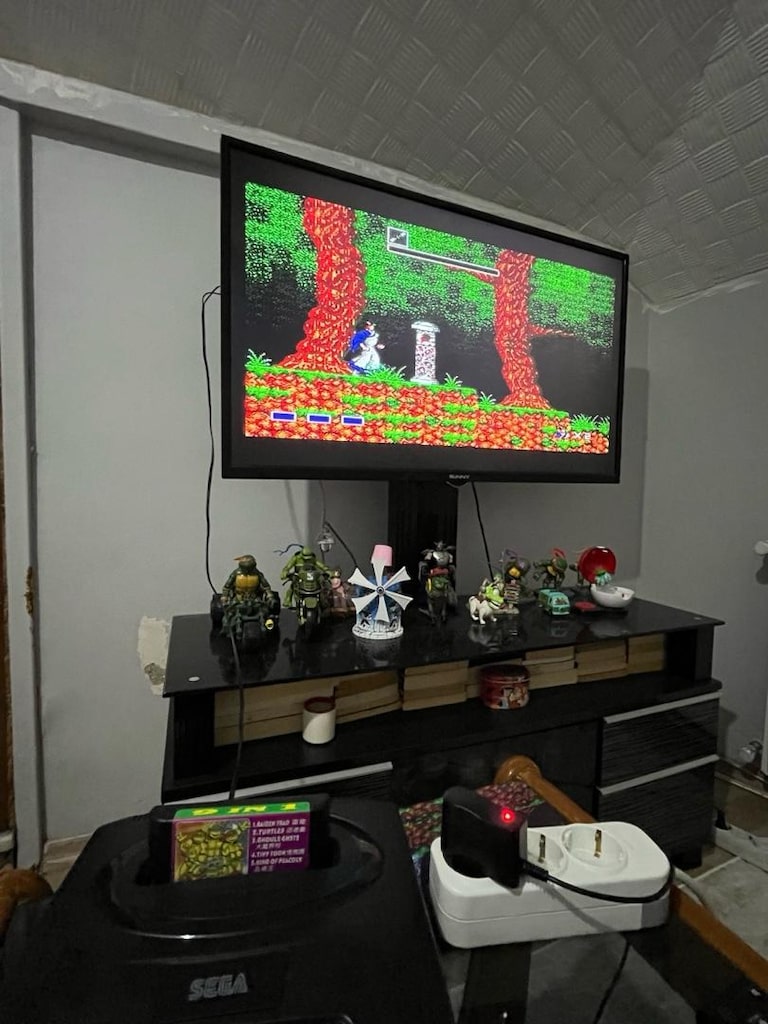 Sega kaseti - 4