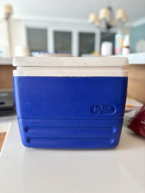 igloo buzluk 8.2 litre