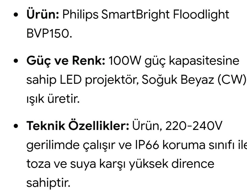 Philips Güçlü Led Projektör - 2