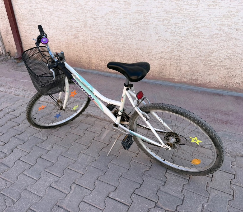 Bianchi bisiklet - 3