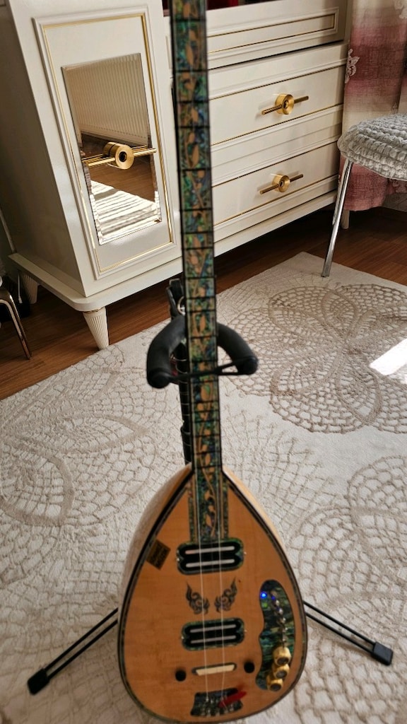 prof. elektro saz - 3