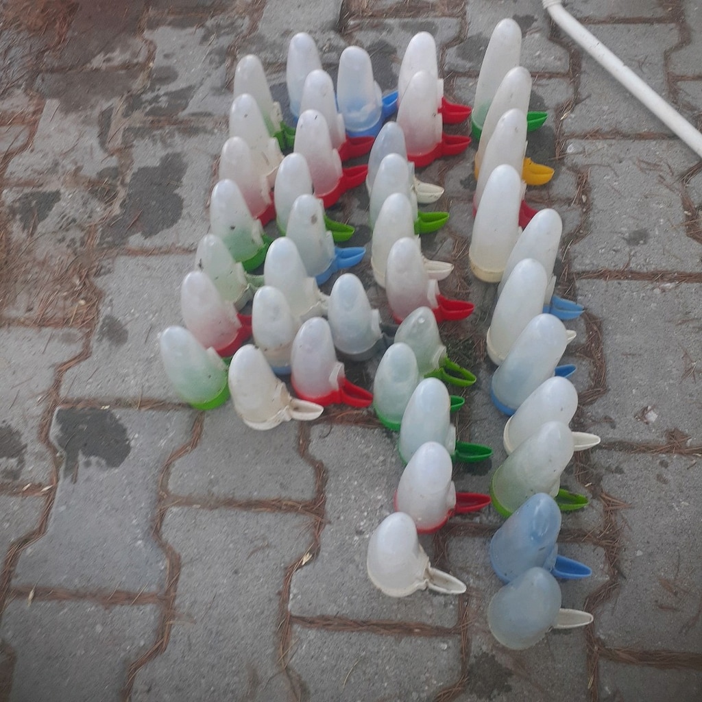 muhabbet ve kafes kuşları ekipmanları - 3