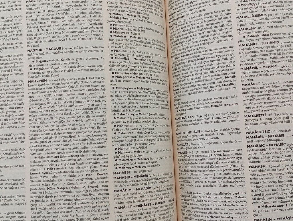 TÜRKÇE SÖZLÜK DEV BOYUTTA - 11