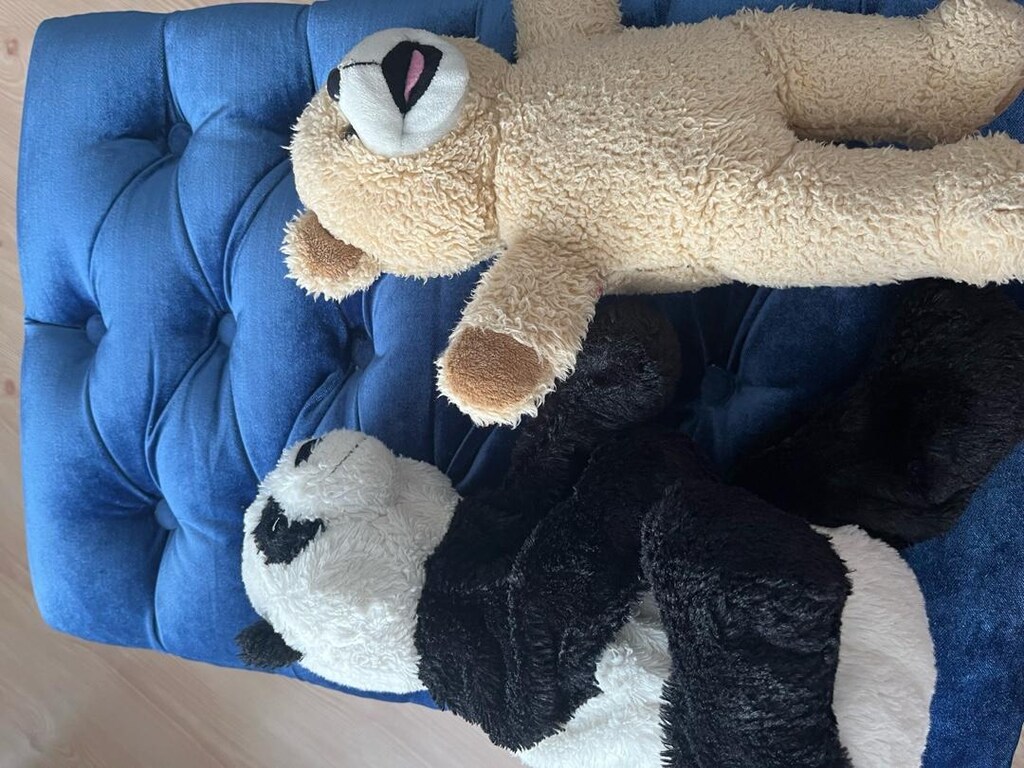 Fischer Price Eğitici köpekçik, Stitch, kedi, köpek,micky, maymun, ayı - 11