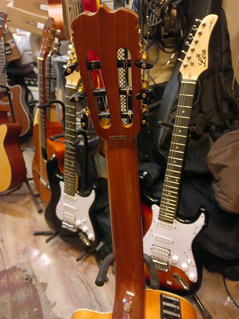 Takamine Jasmin elektro klasik sifir ayarinda - 4