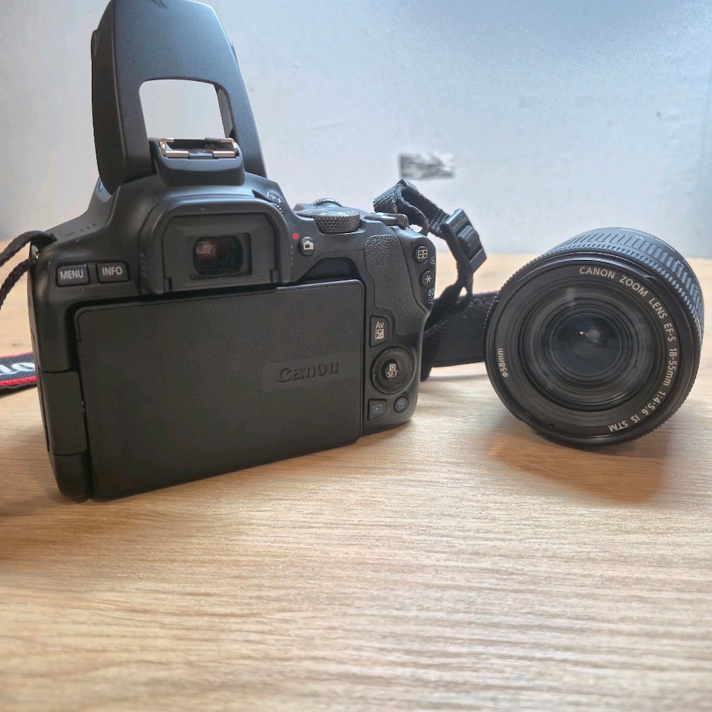 Canon EOS 250D + 18-55mm IS STM Lens - 8