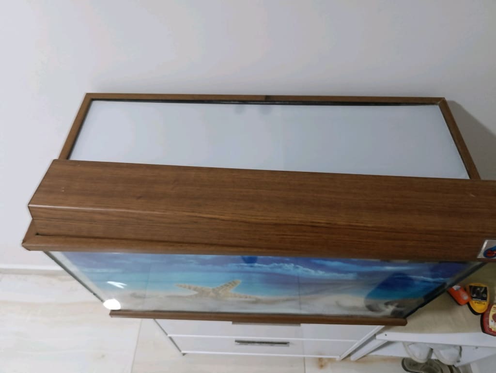 akvaryum - 3