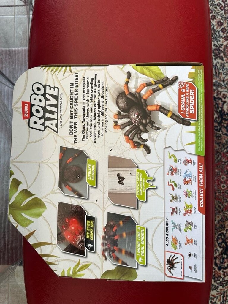 Tarantula Örümcek - 7