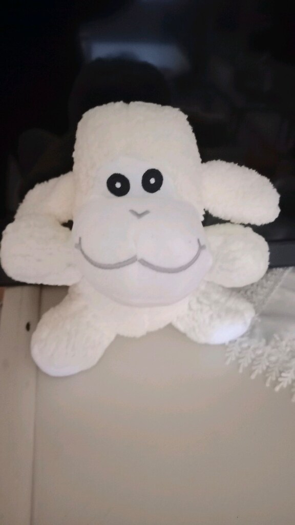 Peluş koyun - 4