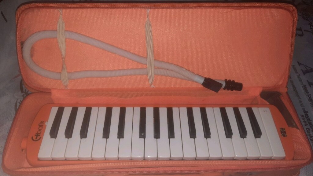 melodika - 4