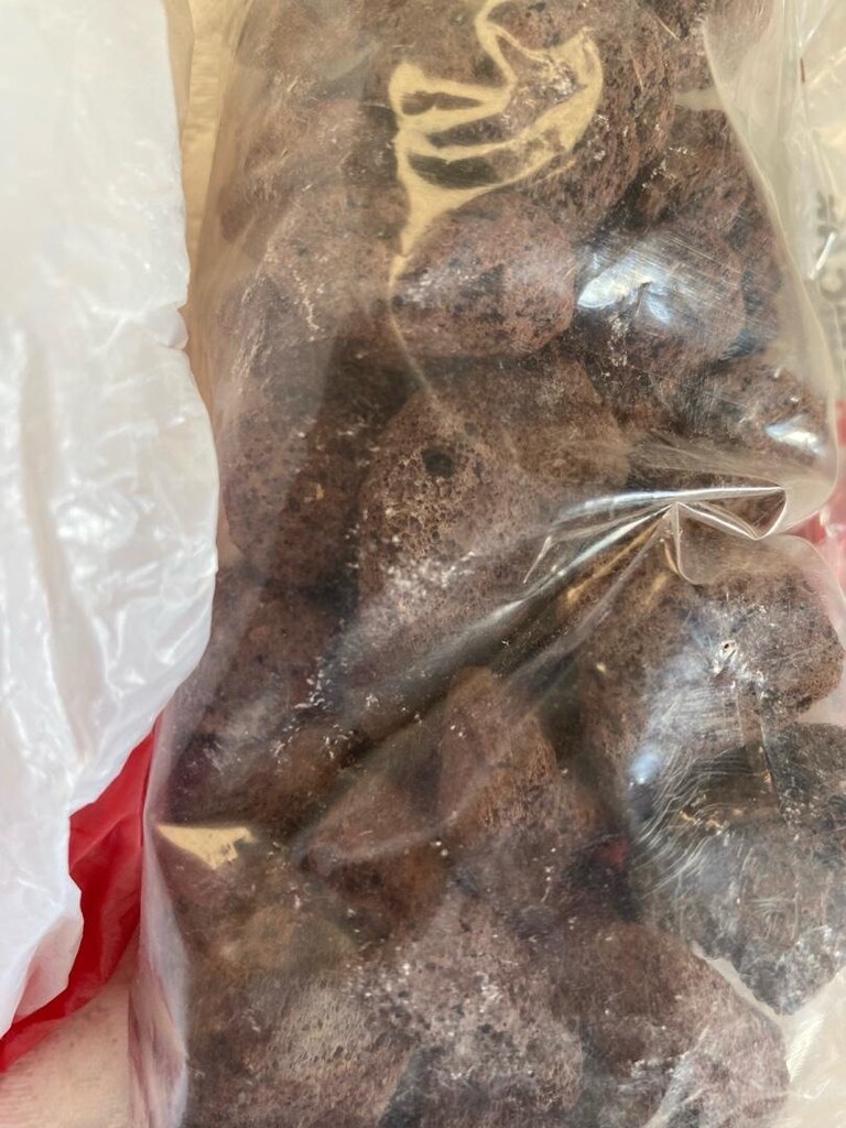 Deniz Kabukları ve Akvaryum Taşları Seti - 3