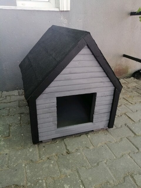 KÖPEK KULÜBESİ