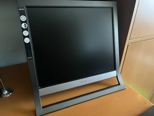 Sony pc monitör