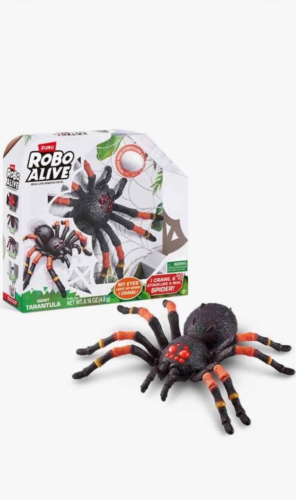 Tarantula Örümcek - 5