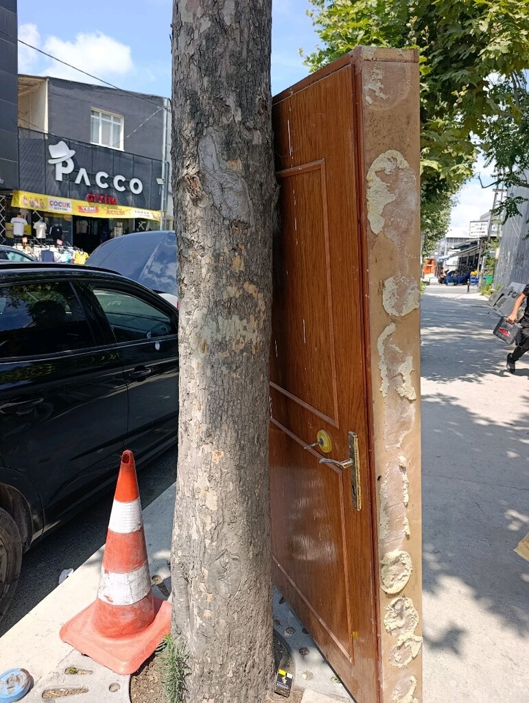Ahşap dış kapı - 3