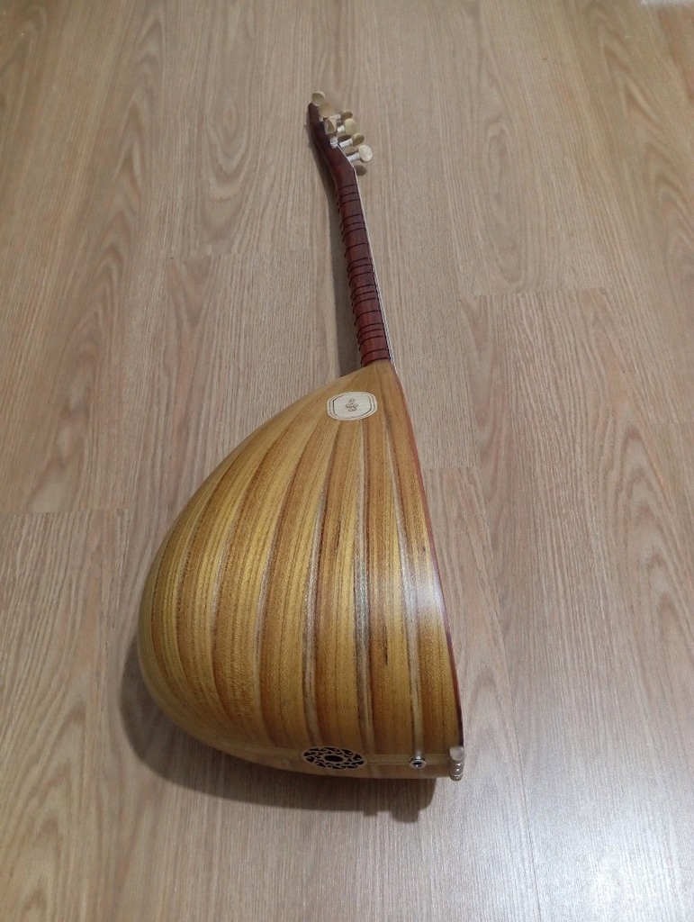 40 TEKNE DUT AĞACI KISA SAP ORTA ÜSTÜ KALİTE BAĞLAMA - 3