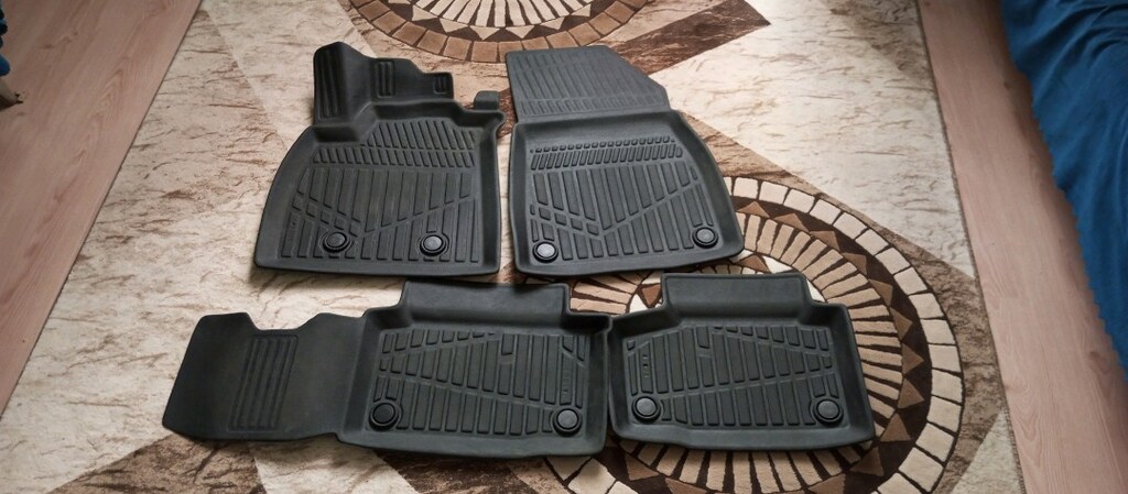 Roadrug Renault Duster ECO G 2025 3D Havuzlu Paspas - 3