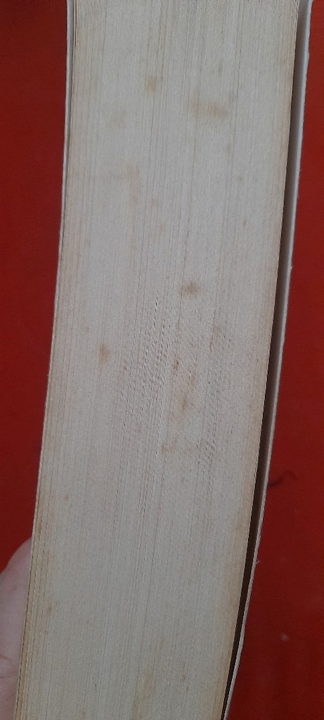 SOFİ'NİN DÜNYASI, JOSTEIN GAARDER - 5