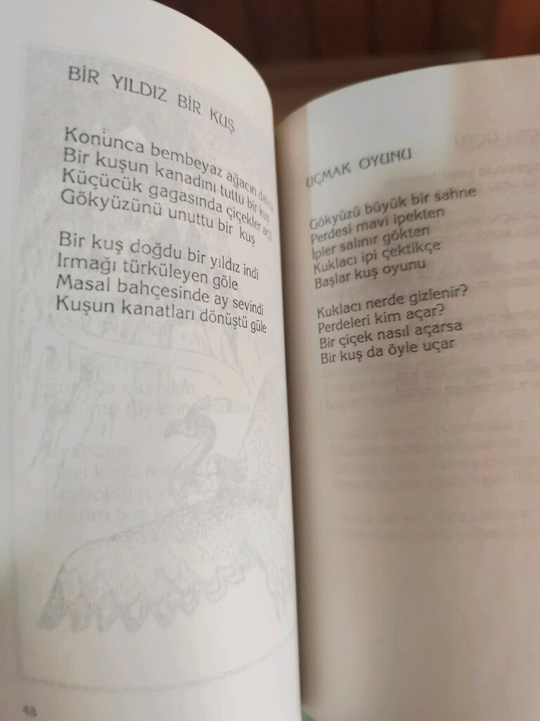 ÇOCUK KALBİMDEKİ KUŞ şiir kitabı Mustafa Ruhi ŞİRİN - 2