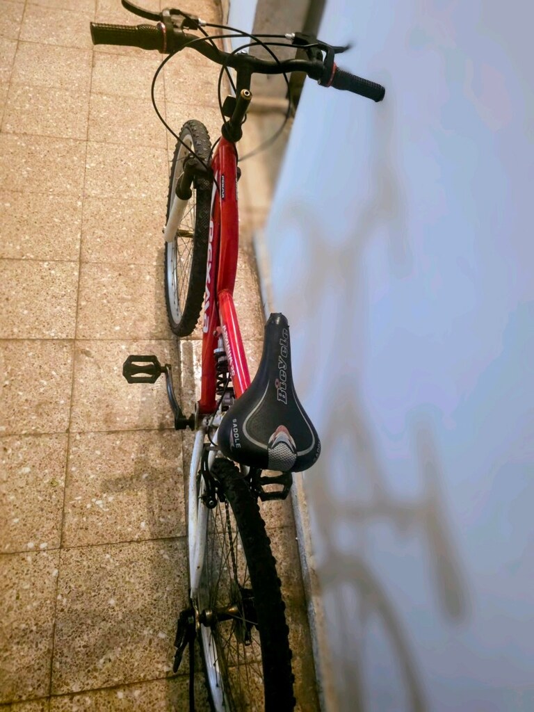 26 jant bisiklet - 3