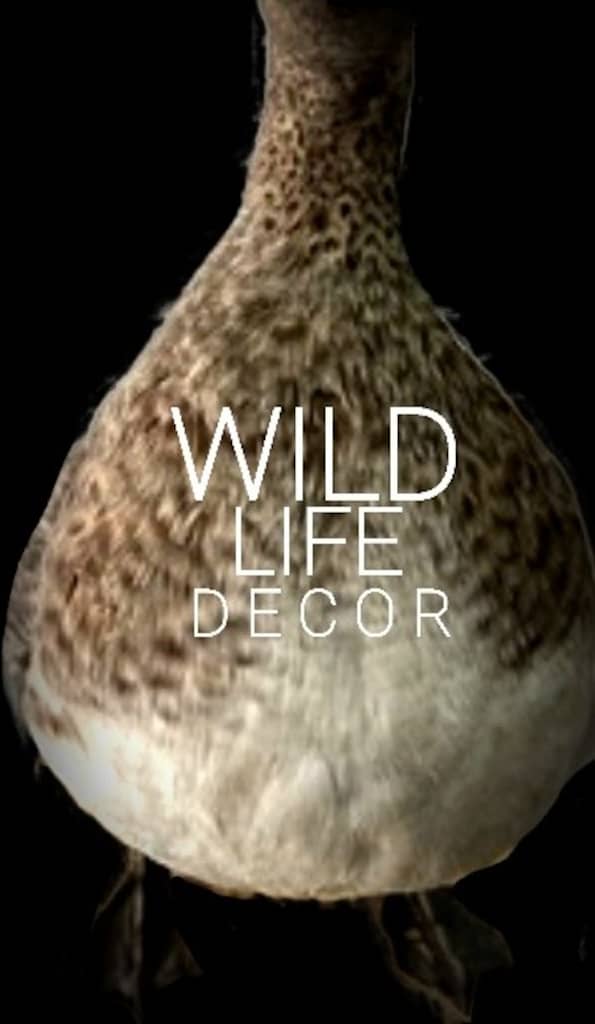 WILD LIFE REAL BIG D E C O R - 2