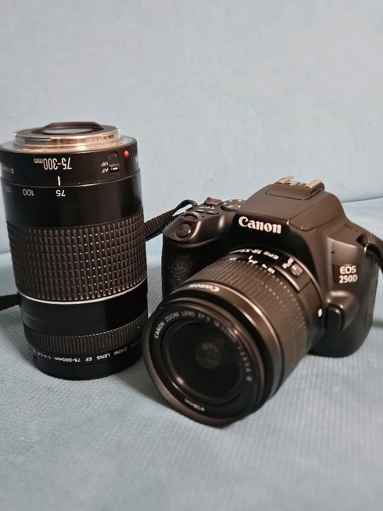 canon 250d fotoğraf makinesi ve lens - 4