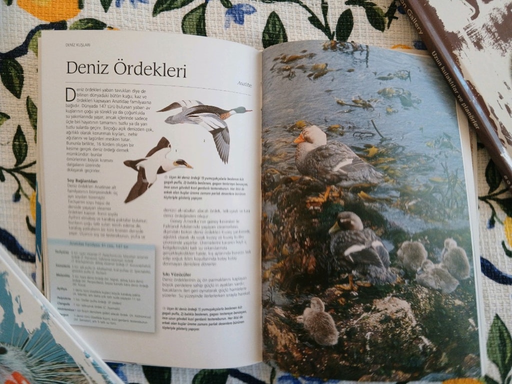 Vahşi Yaşam kitap seti - 7