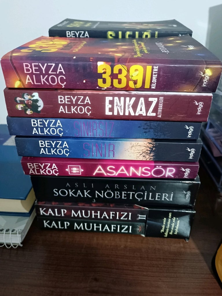 BEYZA ALKOÇ KİTAP SERİSİ - 2