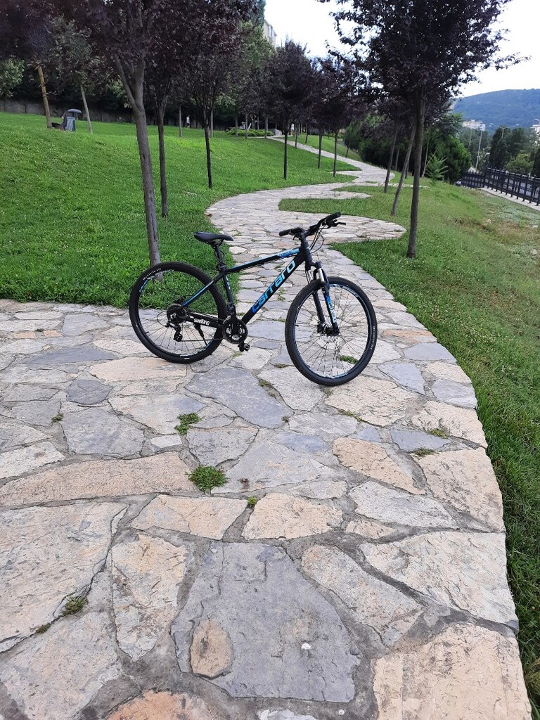 Temiz Carraro Force 950 - 4