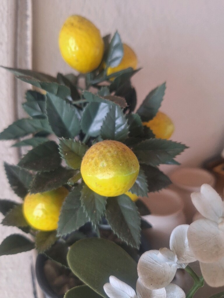 limon yapay ağacı - 3