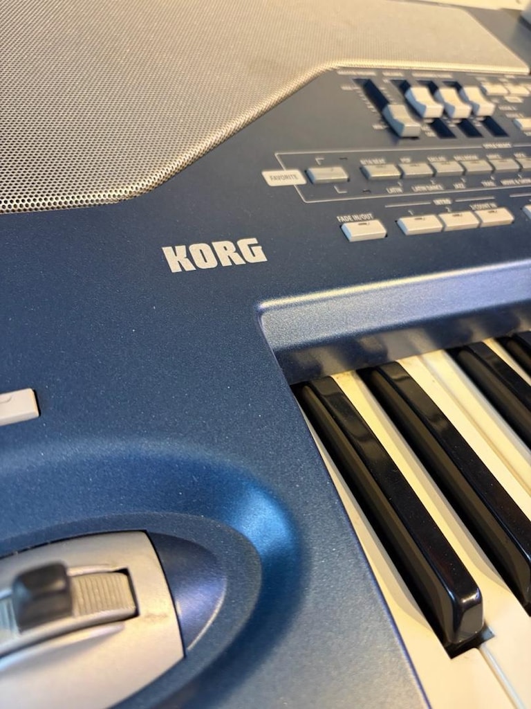 Korg Pa800 - 2
