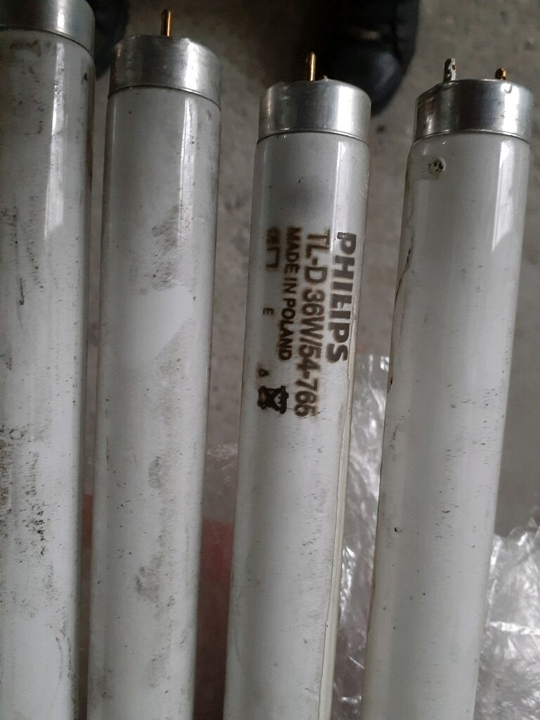 12 adet 60cm lik flörasan lamba. - 4