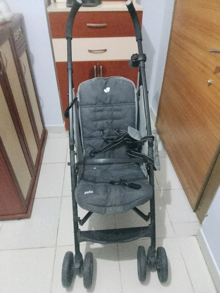 baston Bebek arabasi - 2
