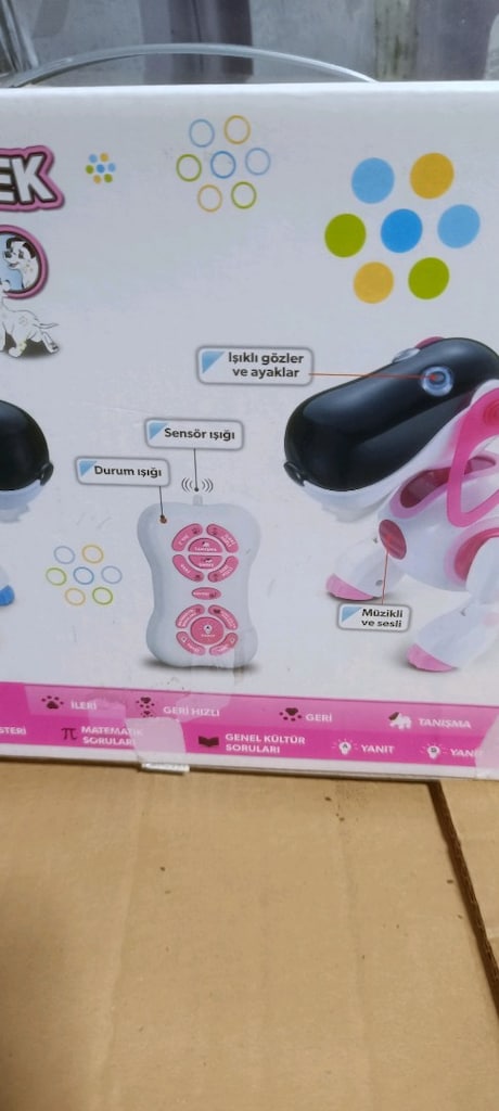 Akıllı Robot Köpek - 3