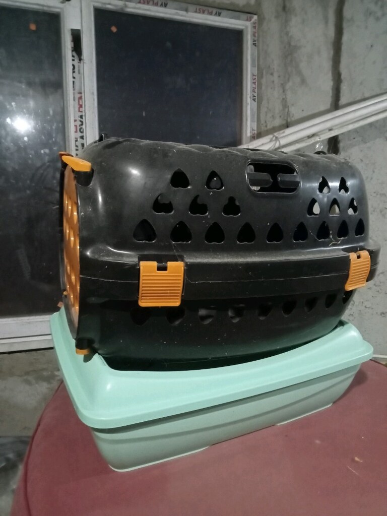 kedi taşıma kutusu ve kumluk