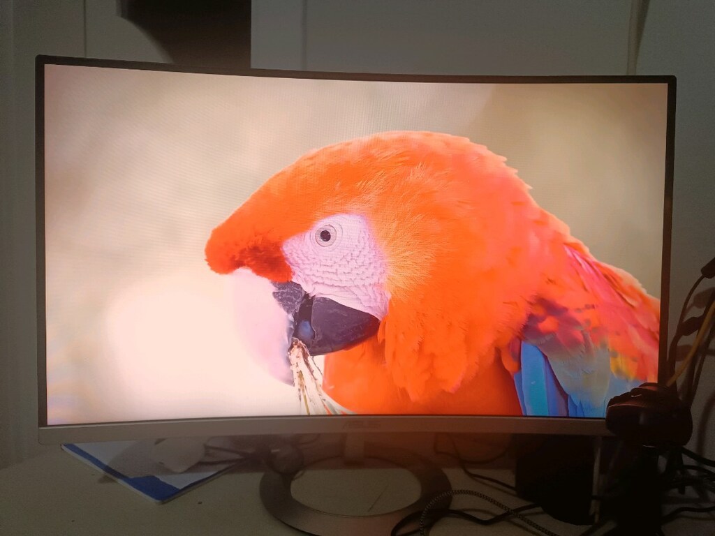 i3-9100F GT 730 8GB RAM 240GB SSD + ASUS Kavisli Monitör Komple Set - 6
