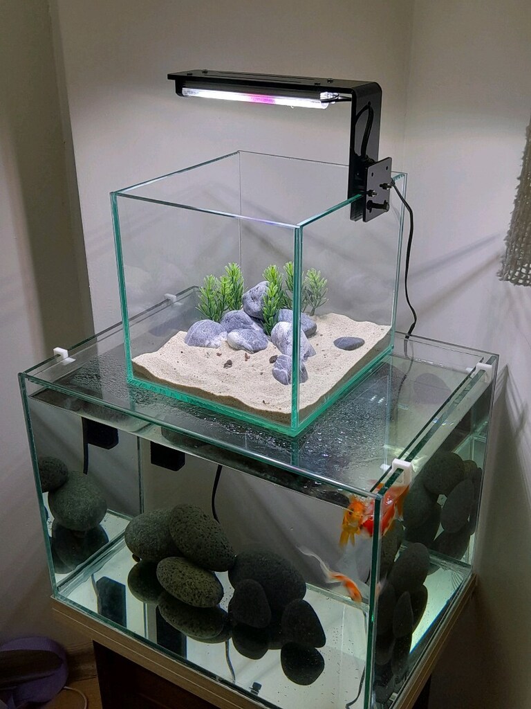 nano akvaryum mini 20x20x20 clear - 12