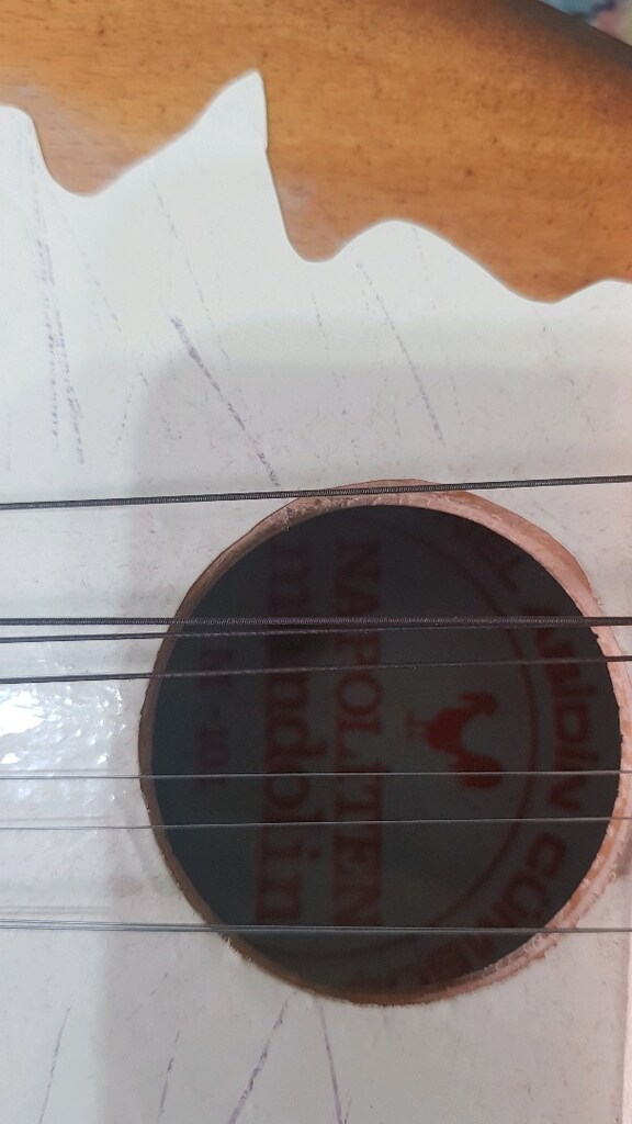 mandolin - 5