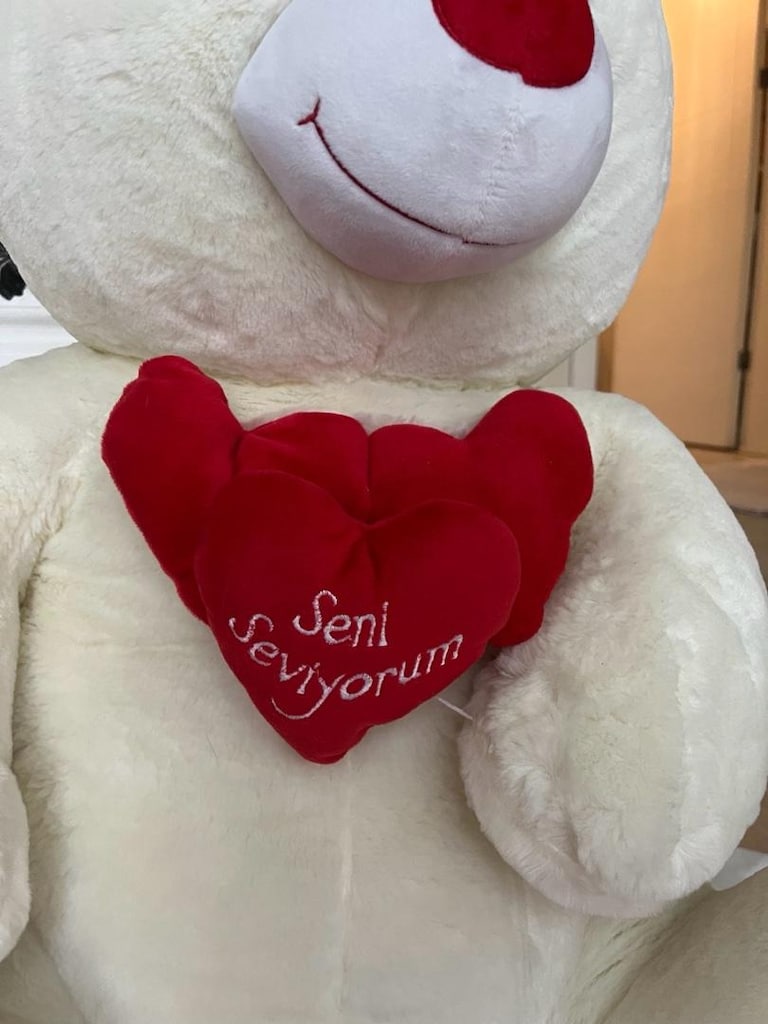 Büyük Peluş Ayı - 3