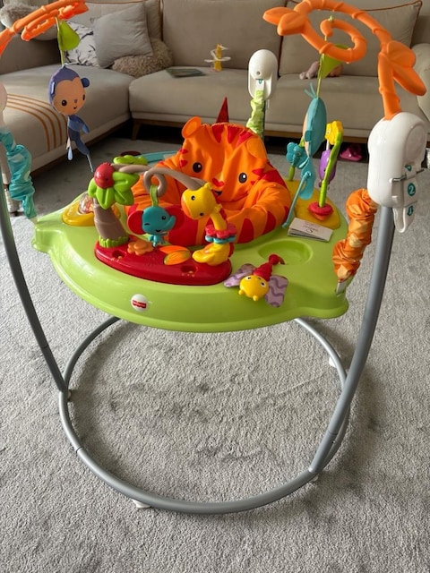 Fisher Price Yağmur Ormanı Jumperoo chm91