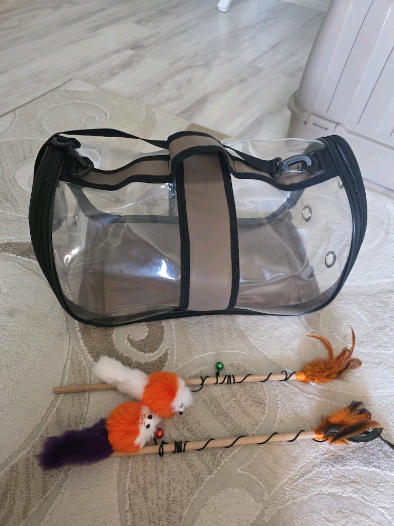 komple kedi seti - 6