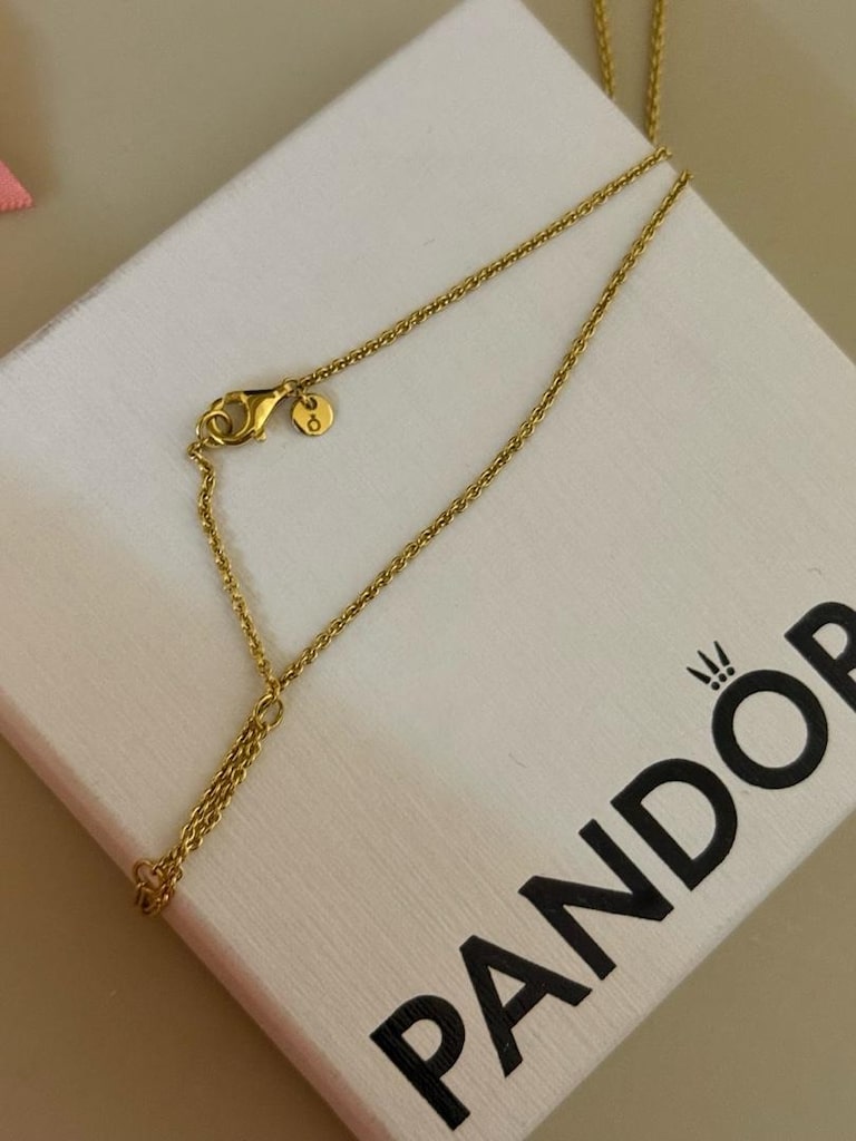 Pandora Rapunzel Çiçeği Kolye Ucu ve Kolye Zinciri - 3
