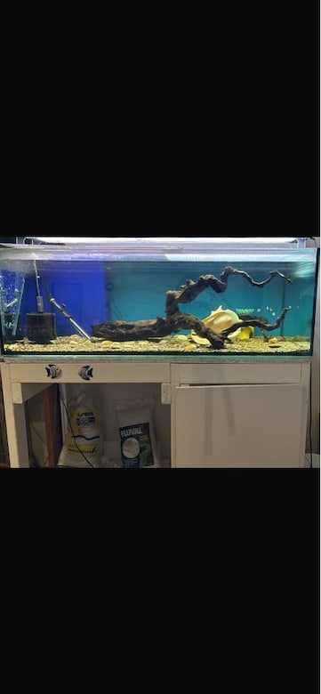 Full donanımlı akvaryum - 4