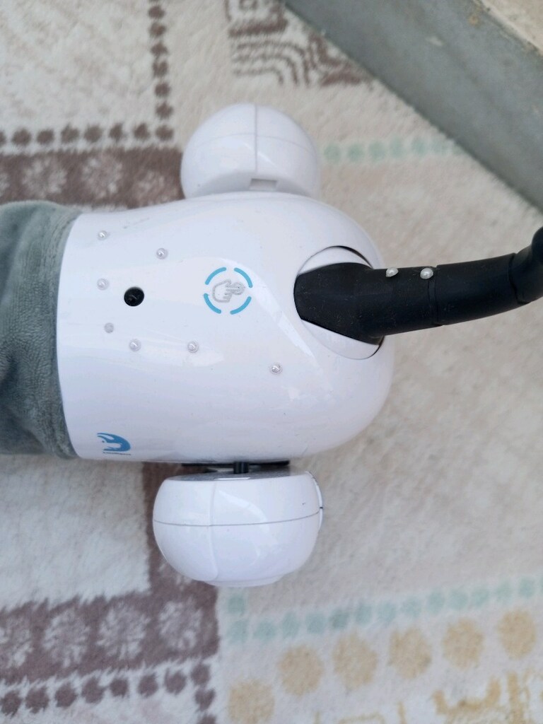 Robot köpek kumandalı - 7