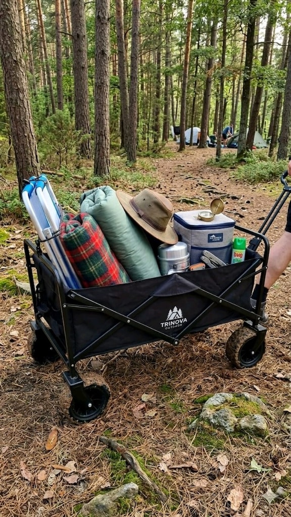 beach wagon - 4