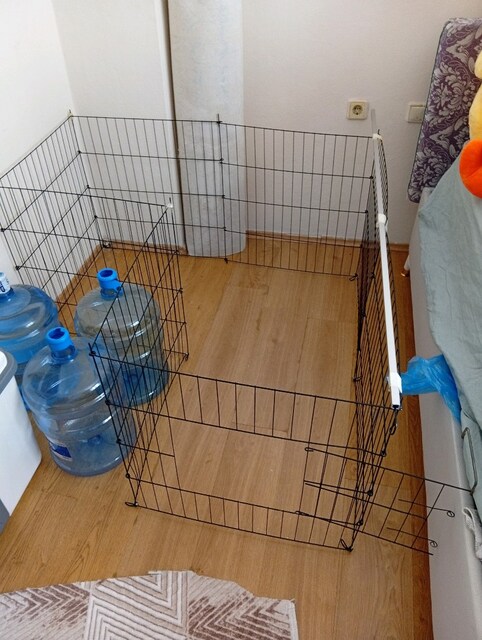 Köpek çiti 2 defa kullandım