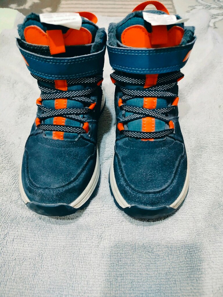 bot - 5