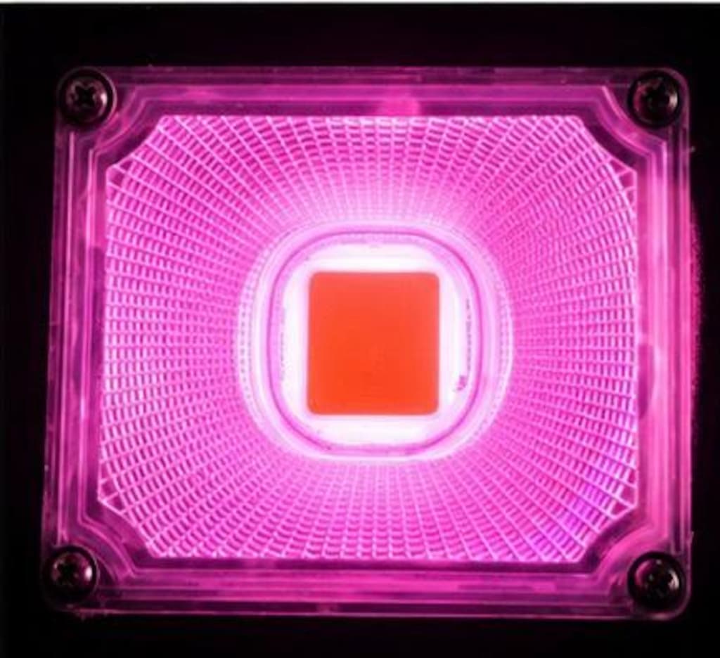 50W full spectrum bitki yetiştirme lambası - 2