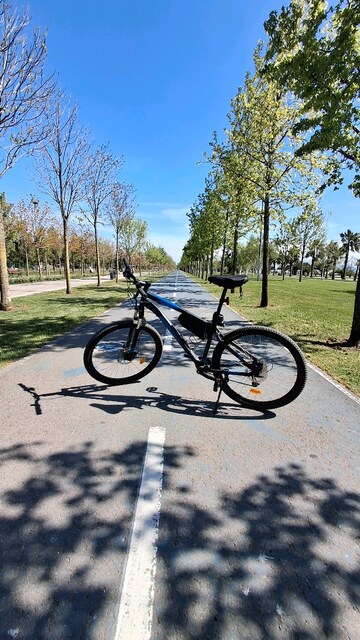 rockrider st120 bisiklet