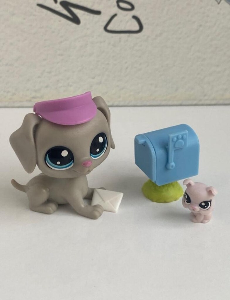 postacı köpek miniş - 2